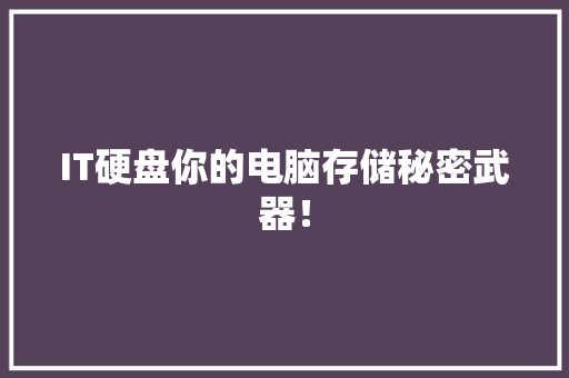 IT硬盘你的电脑存储秘密武器！