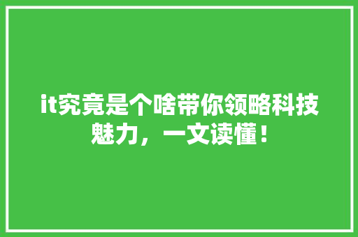it究竟是个啥带你领略科技魅力，一文读懂！ 网站建设