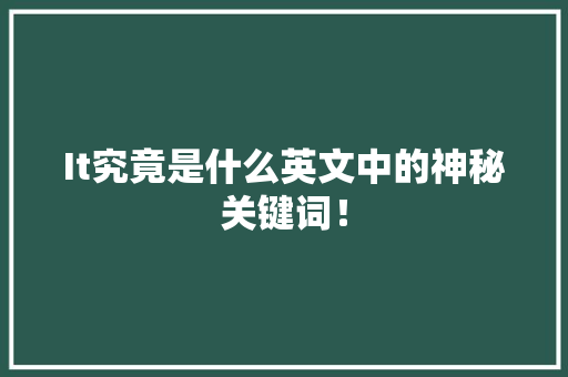 It究竟是什么英文中的神秘关键词！