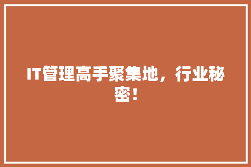 IT管理高手聚集地，行业秘密！