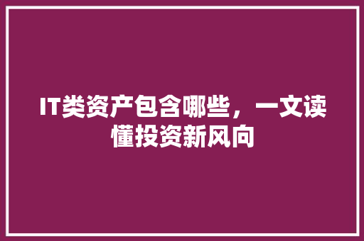 IT类资产包含哪些，一文读懂投资新风向