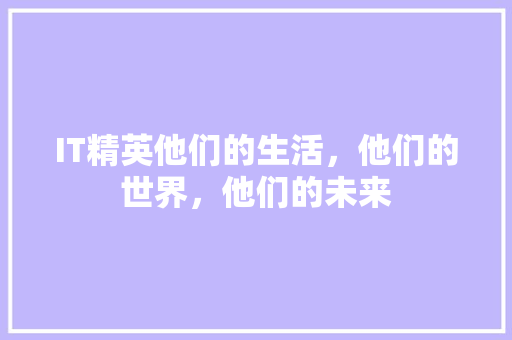 IT精英他们的生活，他们的世界，他们的未来 项目报告