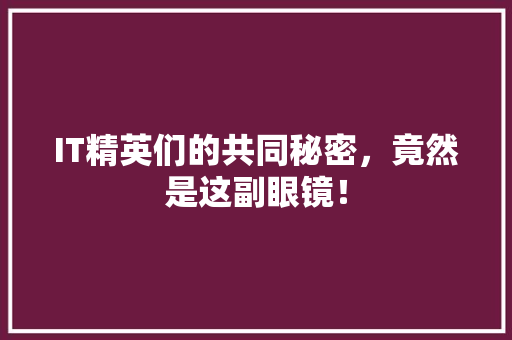 IT精英们的共同秘密，竟然是这副眼镜！