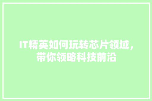IT精英如何玩转芯片领域，带你领略科技前沿 缓存Redis