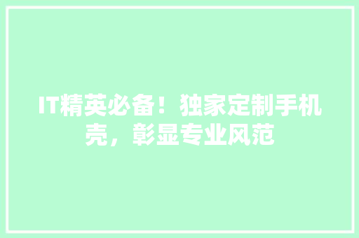 IT精英必备！独家定制手机壳，彰显专业风范