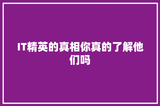 IT精英的真相你真的了解他们吗 市场营销范文