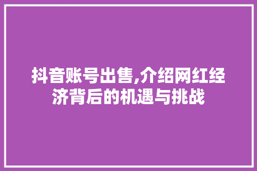 抖音账号出售,介绍网红经济背后的机遇与挑战
