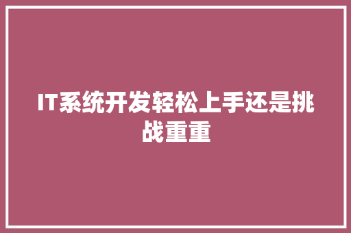 IT系统开发轻松上手还是挑战重重