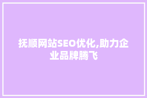 抚顺网站SEO优化,助力企业品牌腾飞