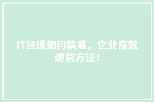 IT经理如何精准，企业高效运营方法！
