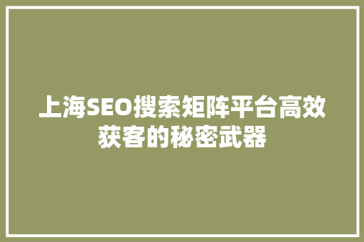 上海SEO搜索矩阵平台高效获客的秘密武器