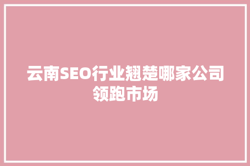 云南SEO行业翘楚哪家公司领跑市场