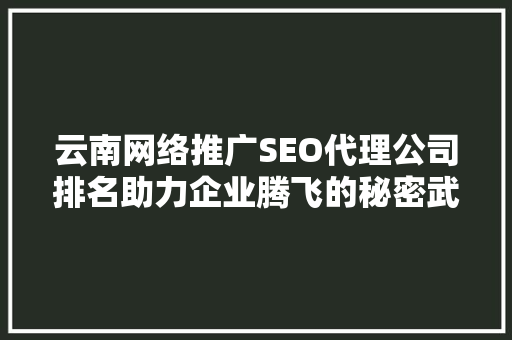云南网络推广SEO代理公司排名助力企业腾飞的秘密武器