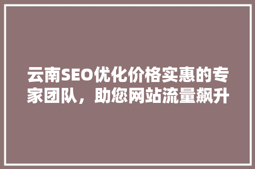 云南SEO优化价格实惠的专家团队，助您网站流量飙升