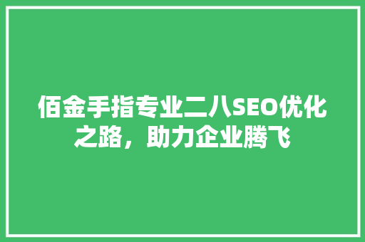 佰金手指专业二八SEO优化之路，助力企业腾飞
