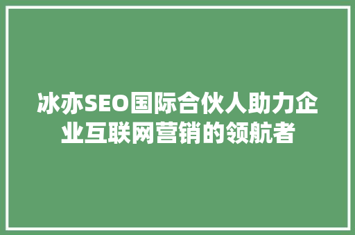 冰亦SEO国际合伙人助力企业互联网营销的领航者