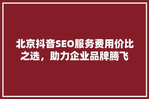 北京抖音SEO服务费用价比之选，助力企业品牌腾飞