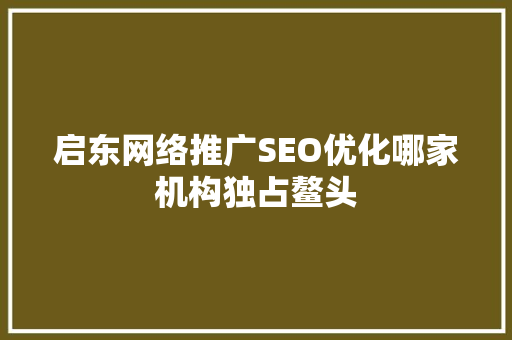 启东网络推广SEO优化哪家机构独占鳌头