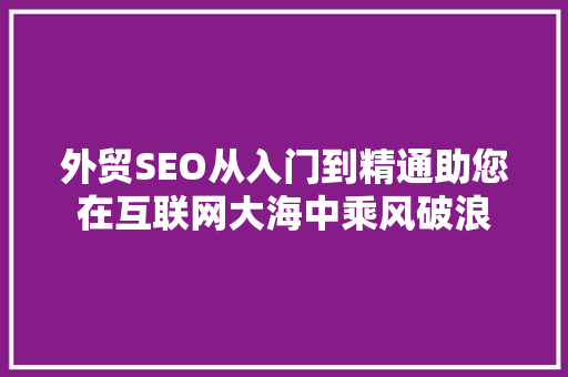 外贸SEO从入门到精通助您在互联网大海中乘风破浪