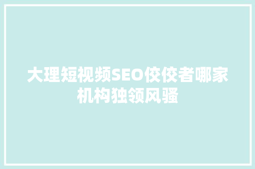大理短视频SEO佼佼者哪家机构独领风骚
