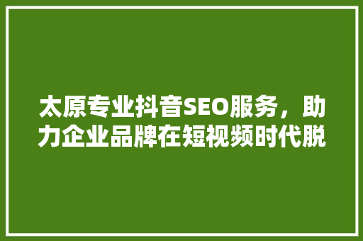 太原专业抖音SEO服务，助力企业品牌在短视频时代脱颖而出