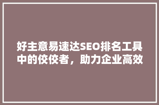 好主意易速达SEO排名工具中的佼佼者，助力企业高效提升网站排名