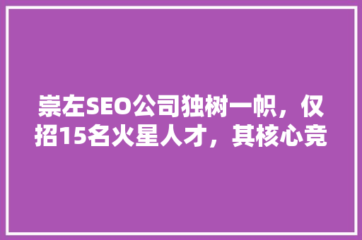 崇左SEO公司独树一帜，仅招15名火星人才，其核心竞争力