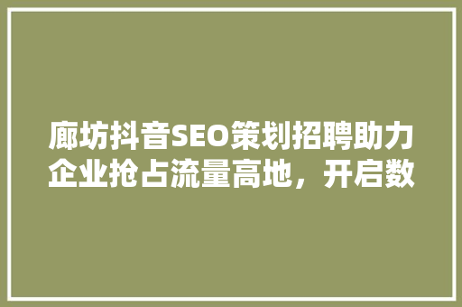 廊坊抖音SEO策划招聘助力企业抢占流量高地，开启数字营销新时代