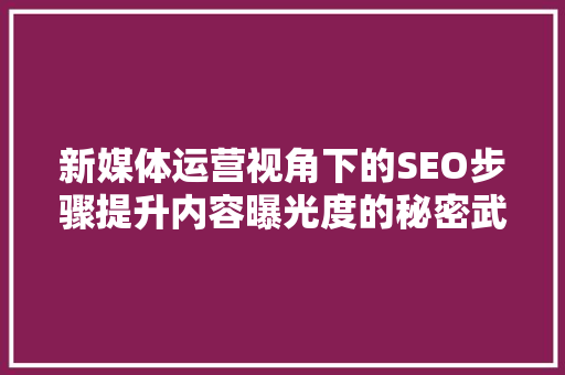 新媒体运营视角下的SEO步骤提升内容曝光度的秘密武器