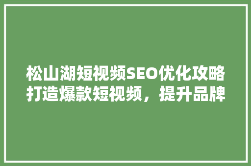 松山湖短视频SEO优化攻略打造爆款短视频，提升品牌影响力