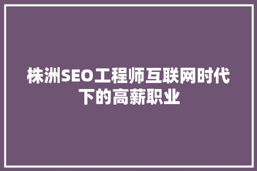 株洲SEO工程师互联网时代下的高薪职业