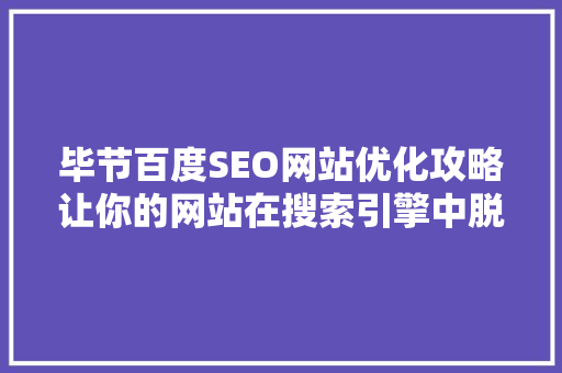 毕节百度SEO网站优化攻略让你的网站在搜索引擎中脱颖而出
