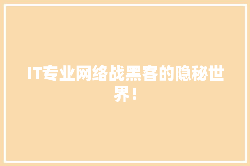 IT专业网络战黑客的隐秘世界！ 项目报告