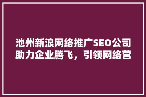 池州新浪网络推广SEO公司助力企业腾飞，引领网络营销新风尚