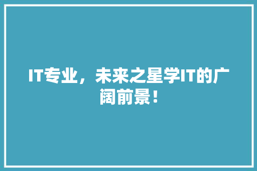 IT专业，未来之星学IT的广阔前景！ 项目报告