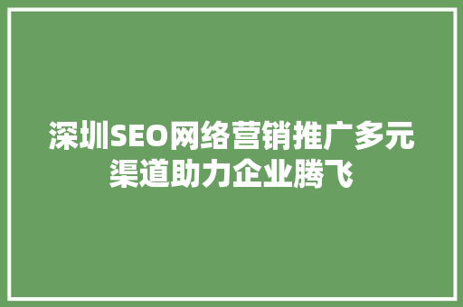 深圳SEO网络营销推广多元渠道助力企业腾飞