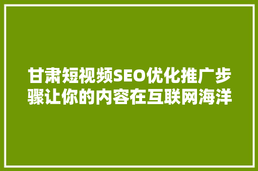 甘肃短视频SEO优化推广步骤让你的内容在互联网海洋中乘风破浪