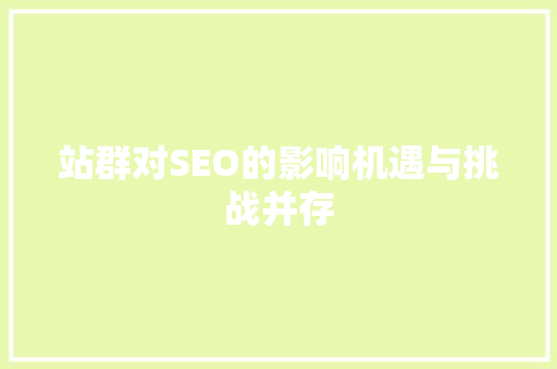 站群对SEO的影响机遇与挑战并存