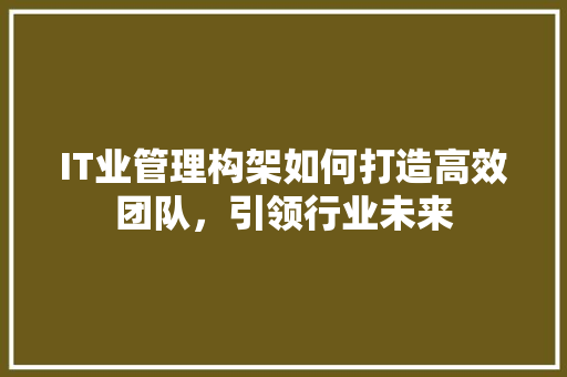 IT业管理构架如何打造高效团队，引领行业未来