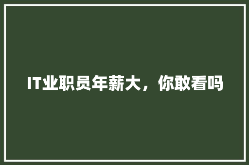 IT业职员年薪大，你敢看吗