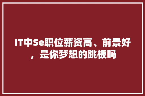 IT中Se职位薪资高、前景好，是你梦想的跳板吗