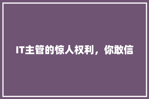 IT主管的惊人权利，你敢信