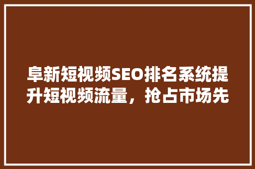 阜新短视频SEO排名系统提升短视频流量，抢占市场先机