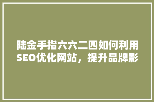 陆金手指六六二四如何利用SEO优化网站，提升品牌影响力