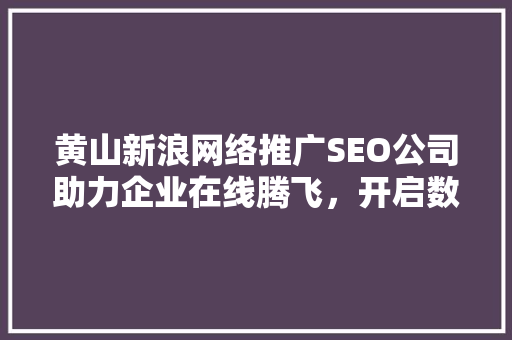 黄山新浪网络推广SEO公司助力企业在线腾飞，开启数字营销新篇章