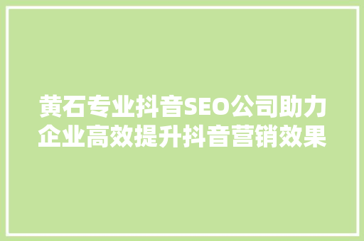 黄石专业抖音SEO公司助力企业高效提升抖音营销效果
