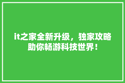 it之家全新升级，独家攻略助你畅游科技世界！ 项目报告