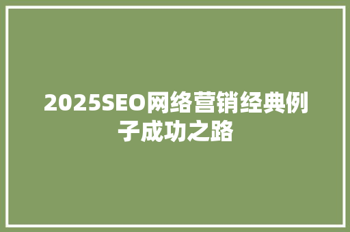 2025SEO网络营销经典例子成功之路