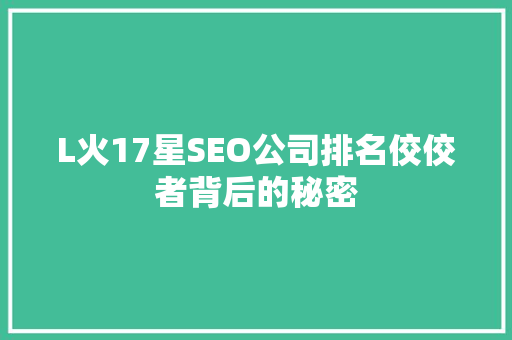 L火17星SEO公司排名佼佼者背后的秘密