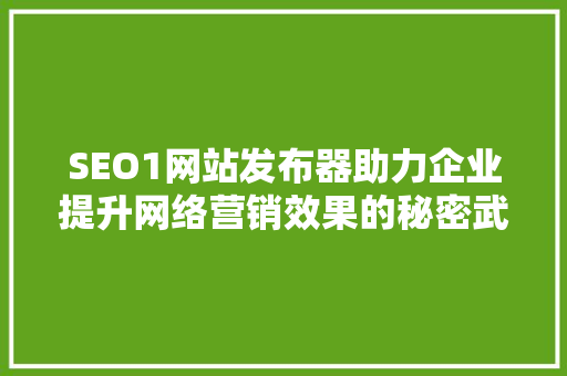 SEO1网站发布器助力企业提升网络营销效果的秘密武器